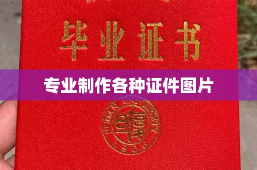 涵江专业制作各种证件图片