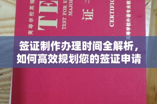 涵江签证制作办理时间全解析，如何高效规划您的签证申请流程