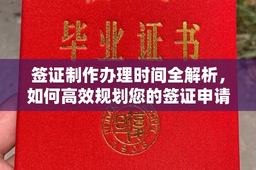 涵江签证制作办理时间全解析，如何高效规划您的签证申请流程